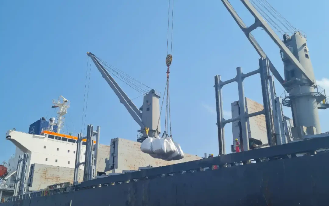 5 Common Mistakes In UN/NGO Bidding—And How To Avoid Them